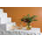 Marajo Handmade Glass Table Vase-1691819538