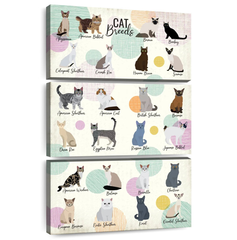 Brampt Cat Breeds Chart, 74" H x 48" W