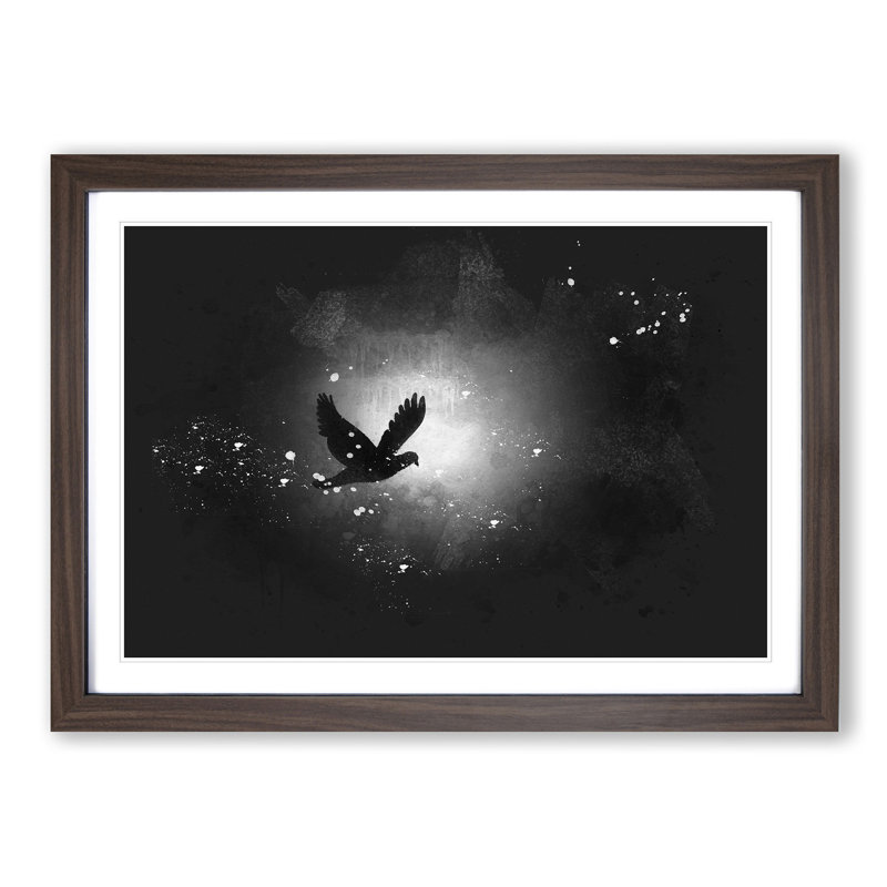 Flying Dove Bird - Picture Frame Graphic Art Print, Walnut Framed, 45cm H x 63cm W x 2cm D