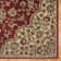 Oriental Indoor Rug