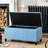 Ahri 98cm Wide Rectangle Solid Colour Standard Ottoman with Storage-1538394345