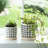 Stoneware Ceramic Saucer Planters with Drainage - Modern Decorative Plant Pots - Durable, Stylish Design for Home and Garden - Set of 2-539194340