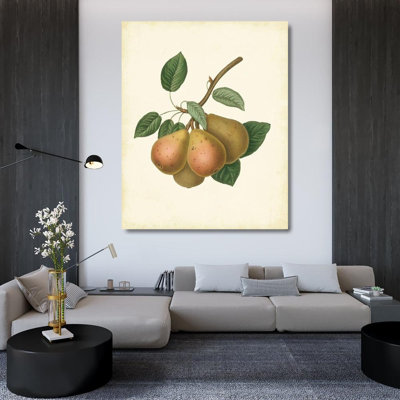 Alcott Hill® Unknown Gallery Wrapped Canvas Art Titled: Plantation Pears I