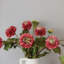 Dahlia Faux Floral-793833469