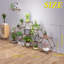 Plant Stand
