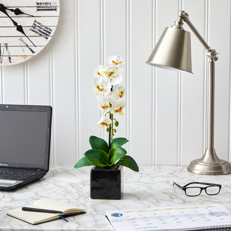 Orchid Arrangement in Vase
