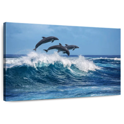 Crowle Jumping Dolphins In Hawaii
