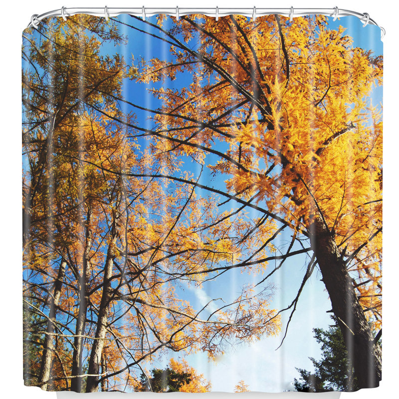 Rideau de douche simple automne sky