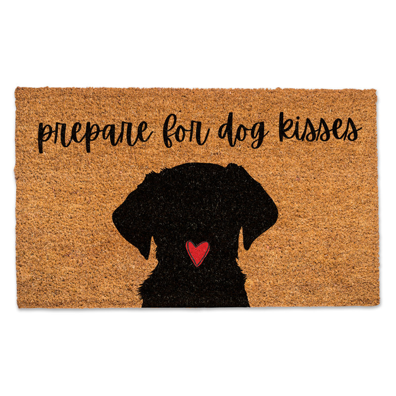Tapis pour porte d'extérieur 30 po x 18 po