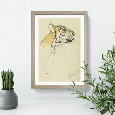 Study of a Tiger Vol.2 by John Macallan Swan - Framed Print