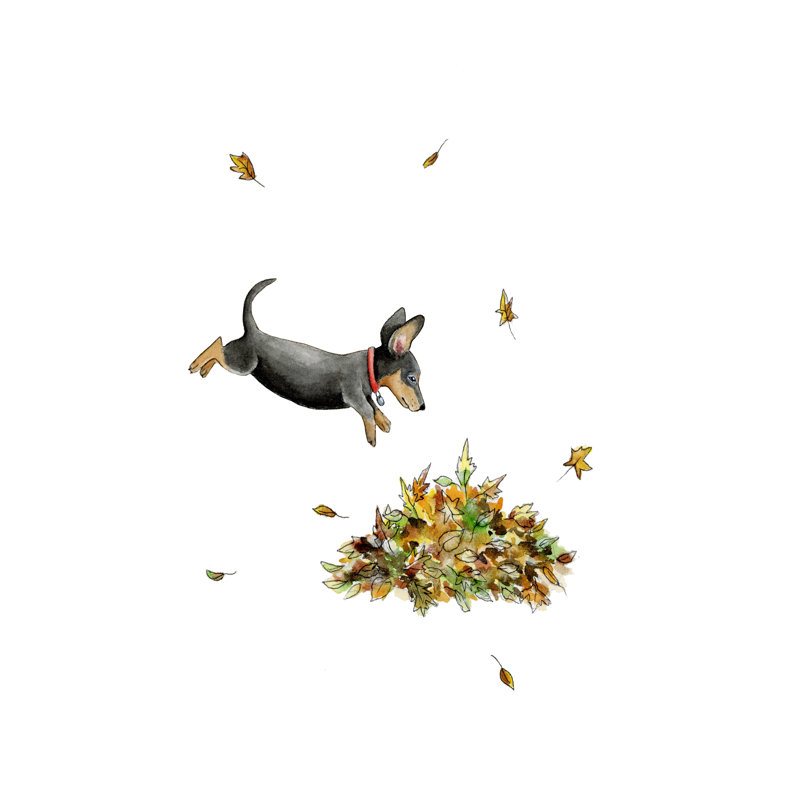 «Dachshund Jump» par Leah Tedesco sur, Pas de tapis, H 18 po x l 12 po, Papier avec cadre unique blanc