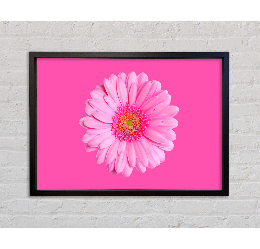 Baby Pink On Pink Gerbera - Einzelner Bilderrahmen Kunstdrucke auf Leinwand