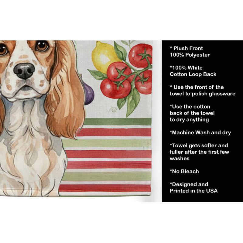 Torchon Blenheim Cavalier Spaniel, Épagneul cavalier Blenheim
