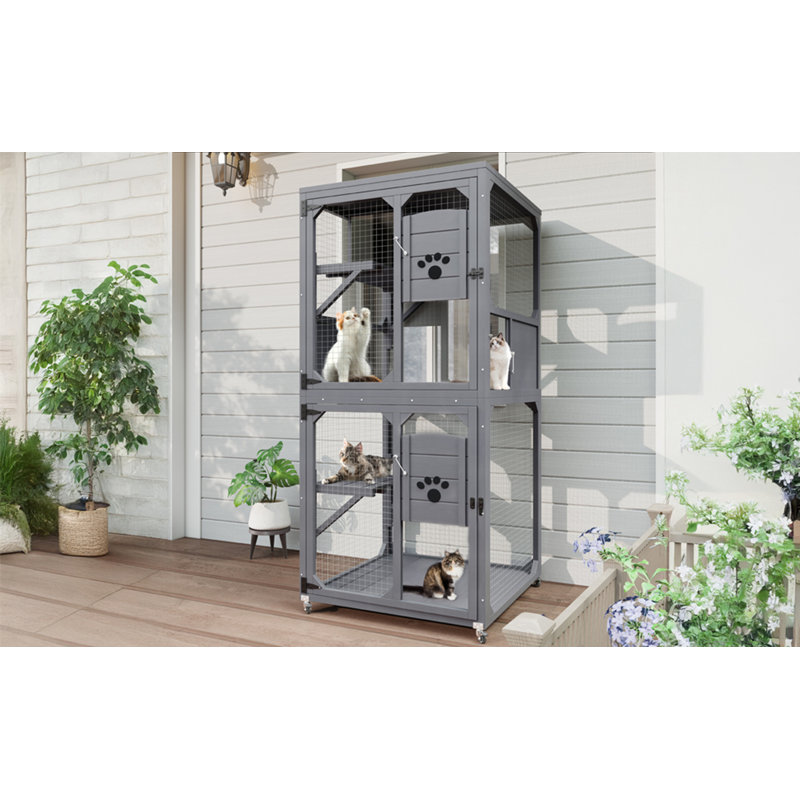 Fenêtre pour chat Catio