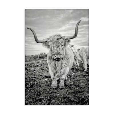Art mural sur toile «Longhorn Calf Family» par Jasper Huish
