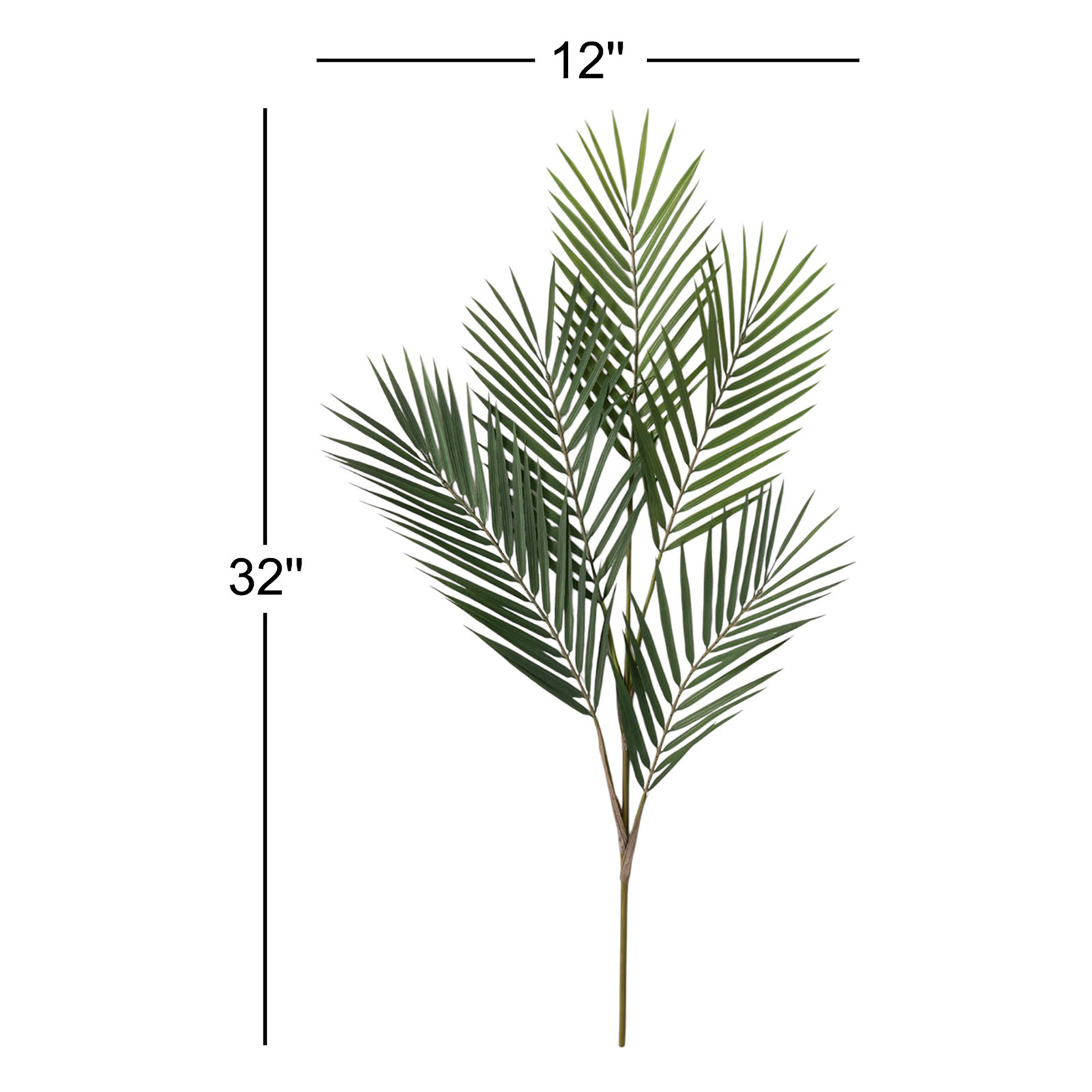 Palm Branch Stems
