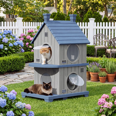 Maison pour chat résistante aux intempéries avec plancher surélevé et évents d'aération - Abri intérieur extérieur en résine PP avec porche