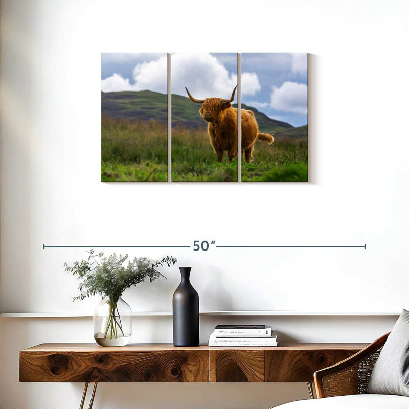 Brampt Highland Cow, Écosse, H 20 po x l 33 po