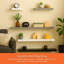 Balwinder-1540146329-1540146332