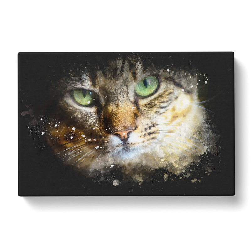 Portrait Of A Cat Vol.6 - Wrapped Canvas Print, 35cm H x 50cm W x 3cm D