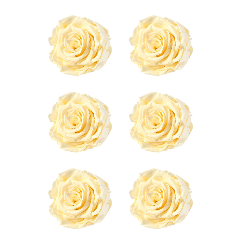 Faux rose, Crème