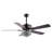 Fransje 52'' Ceiling Fan with Light Kit-1184463323