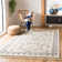 Shiflet Performance Southwestern Rug