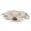 Nickel Lily Petal Bowl