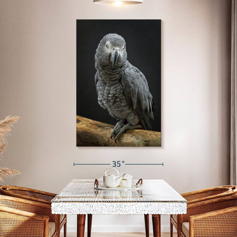 Brampt Congo Grey Parrot, 51" H x 34" W
