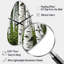 Biswas - Fall Shape Decorative Green Tree Birch Wall Clock-249467407