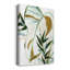 Impression sur toile tendue, Tropical Impromptu II-1651938484