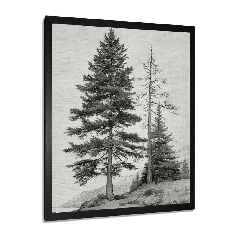 Vintage Pine Trees On Mountain - Pine Wall Art, Black Nature Canvas Print, Single Picture Framed, Black, 20" H x 12" W