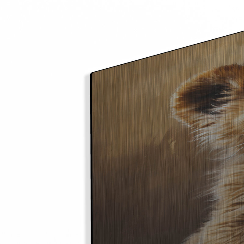 Art mural en métal luxueux «Baby Lion 1» par Momart, H 36 po x l 24 po