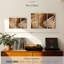 «Quill», sur-98978961