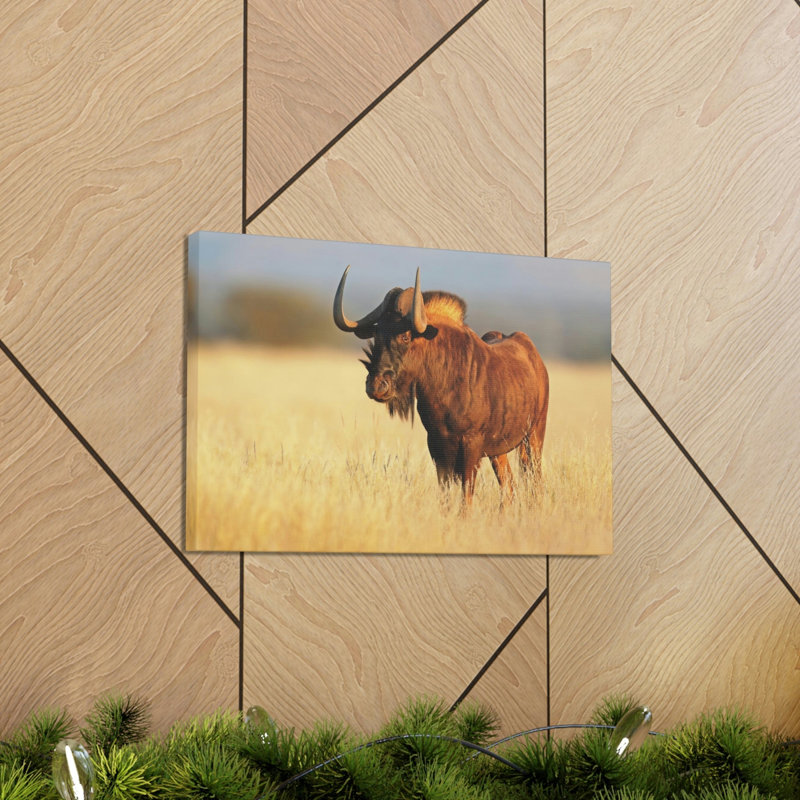 No Frame Print on Canvas, 30.48cm H x 45.72cm W
