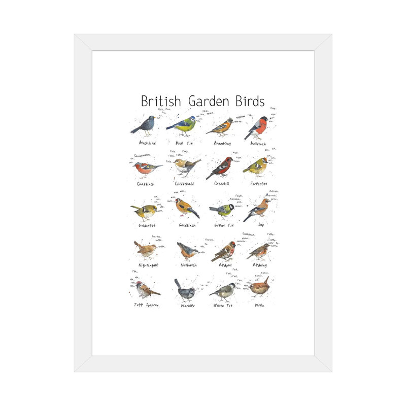«British Garden Birds» par Michelle Campbell - impression d'art graphique, H 32 po x l 24 po x P 1 po, Papier encadré blanc