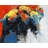 Colorful Elephant Braided Polyester Placemats Set of 4 Decor
