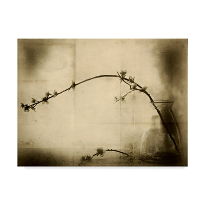 Graphic Art Print
