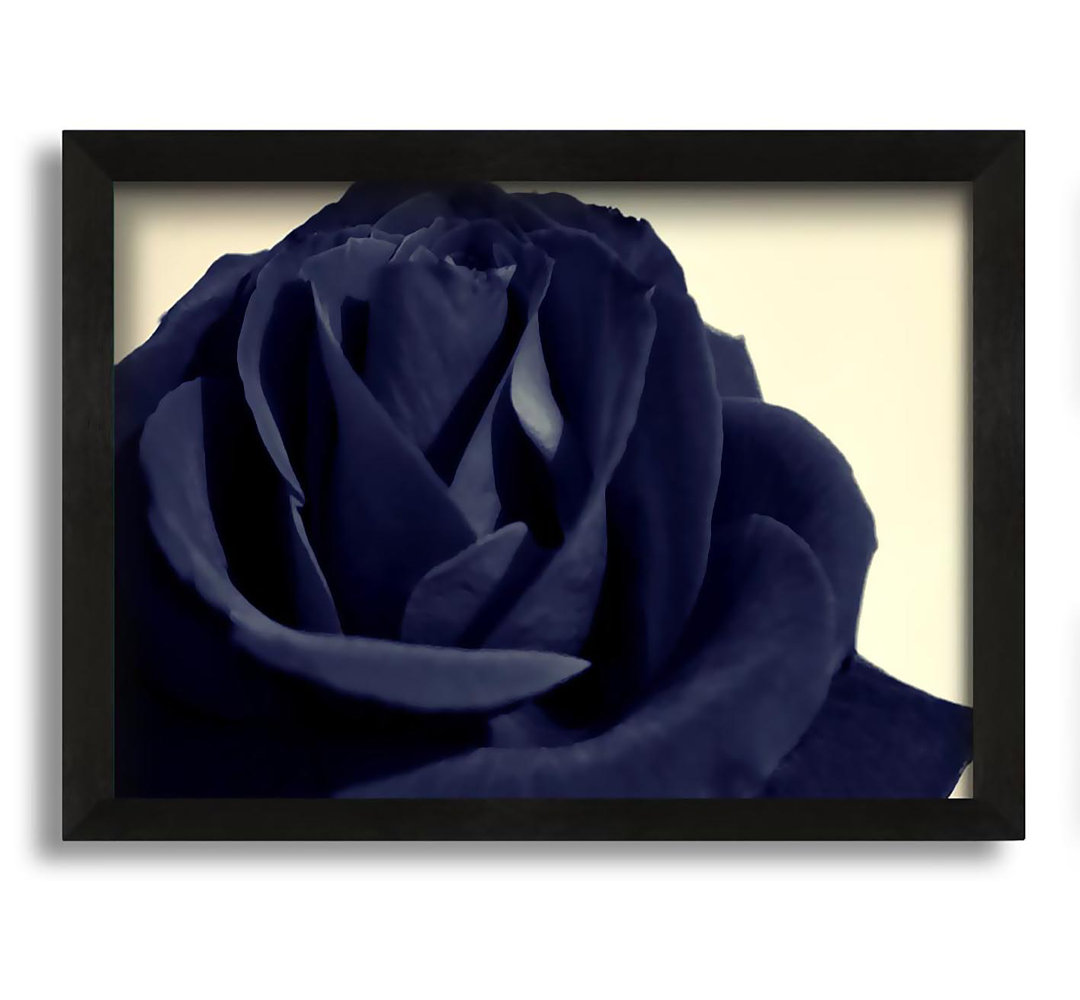 Gerahmtes Leinwandbild Black Blue Rose