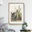 Green Heron by John Audubon - Picture Frame Painting Print on MDF-55609122-55609124