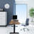 Lesure Adjustable Standing Desk-29693585-116650122