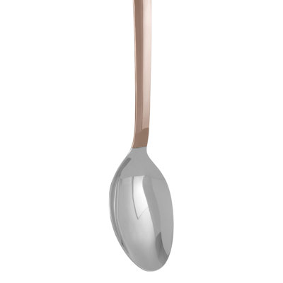 Fairmont Park Ciccone 1 Cooking Spoon
