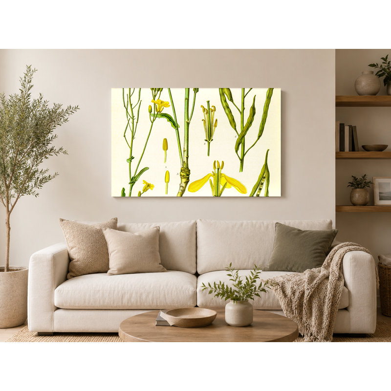 Brassica Napus oleifera DC. (1887) - Paysage, art mural sur toile