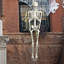 Accessoires de squelette en plastique d'Halloween en forme de squelette de 5,4 pi