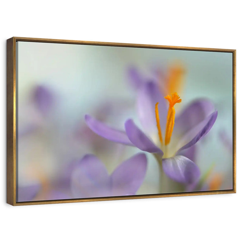 Pastel printanier, Cadre flottant doré, 43 po x 29 po