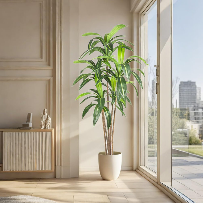 180cm Plant