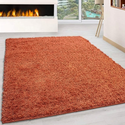 Adavia Shaggy Rug