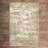 Tobitha Abstract Indoor Rug-1646818912