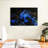 Brampt Stoic Blue Octopus-107709795