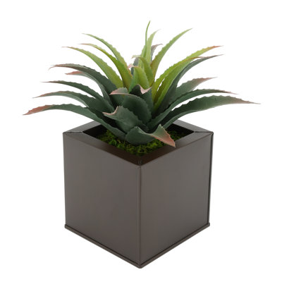 Plante grasse artificielle 7 po en pot